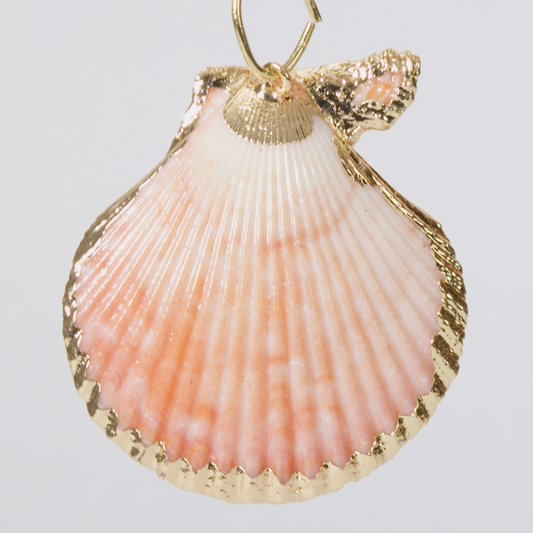 m_000022_Shell